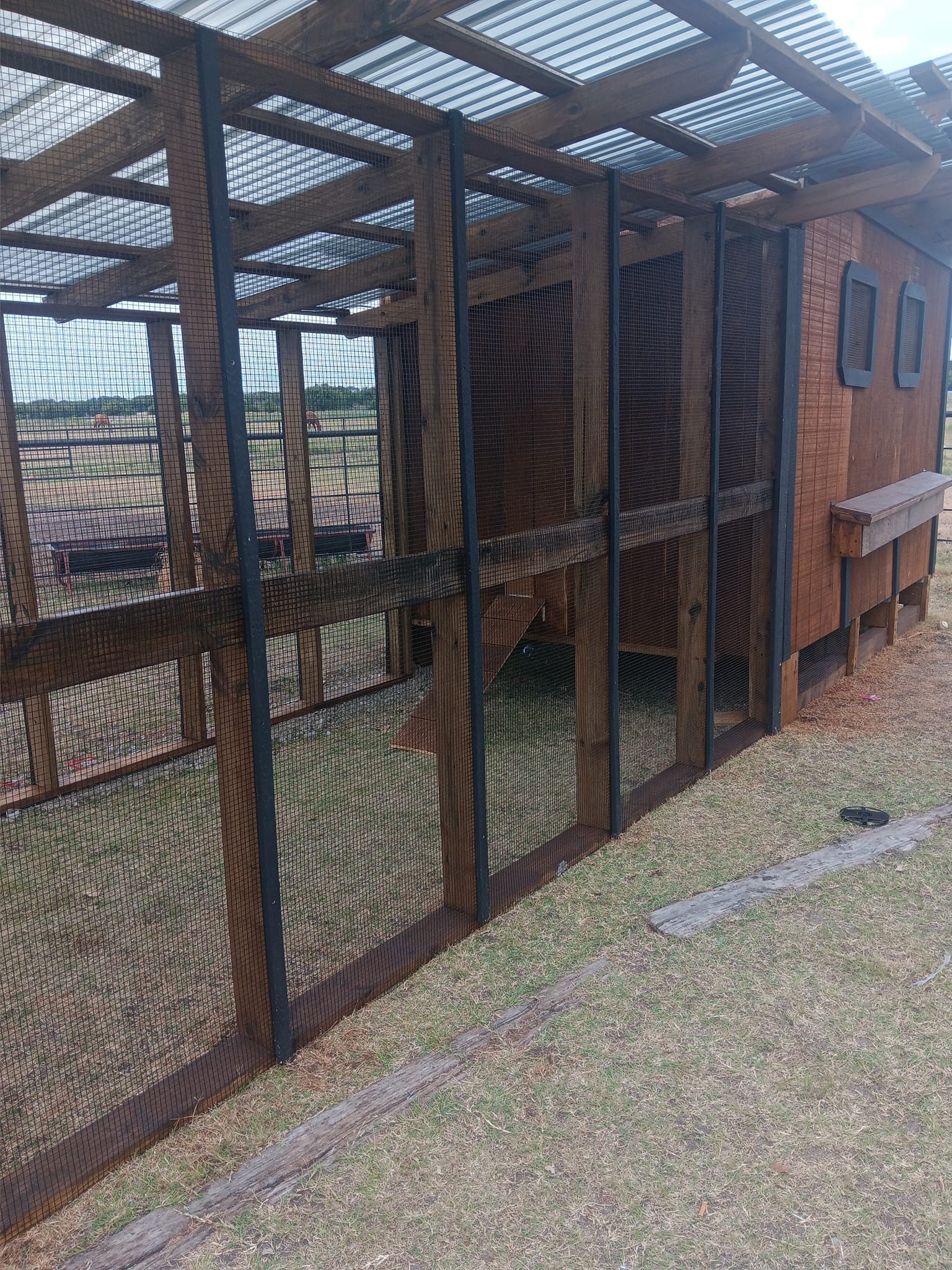 Outdoor Kennel